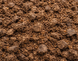 Agricultural Commodity